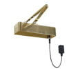 Responder 24 door closer in Brass Scaled
