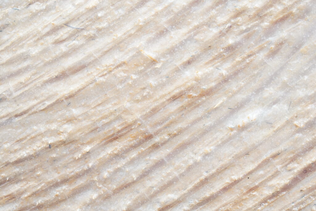 Milky White Intumescent Varnish